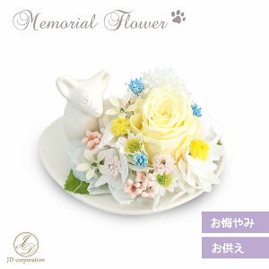ybg A ObY  ݉ԁy R[M[zpdԁ@݉ԁ@vU[uht[ bZ[W 蕨  ~j d { ybg{ ybgd 킢  