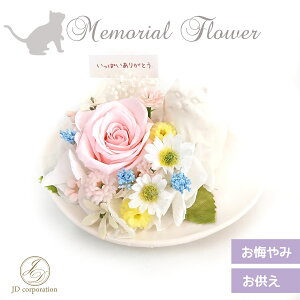 ybg ݉ ybg{yL L2zlR  ˂ L ю At[  ̋ A ObY 蕨 vU[uht[ bZ[W bZ[WJ[h 
