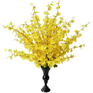 IVW[ F   AWg t[AWg AW IVWE JX J Vz j CeA  t Mtg v[g 蕨 yY XIW