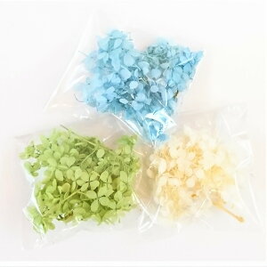 y[֑ΏۏizvU[uht[(z)lߍ킹@AWTC@vU@n[oE