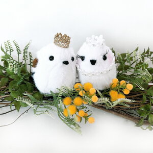 EFJh[ V}GiK yA ʂ EFfBO EFJXy[X Zbg  MtgZbg j d jd  蕨 j Mtg EFfBOh[ EFCg