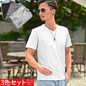 Tシャツ メンズ 半袖 Vネック テレコ 細身 スリム VネックTシャツ 半袖Tシャツ テレコTシャツ カットソー トップス インナー カジュアル ちょいワル キレイ目 春 夏 服 お洒落【3枚セット】【chset】