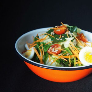 BISA {E 20cm T_ Ԃ X[v z[[  LVR