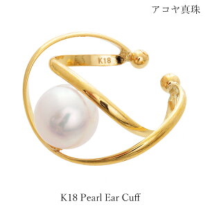 C[Jt K18 p[ ^ CJt 18@CG[S[h AR fB[X Y LO Mtg