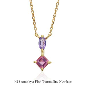 K18 lbNX AWXg sNg} y_g gbv  Vv CG[S[h YG 18 2 a 10 NX}Xv[g