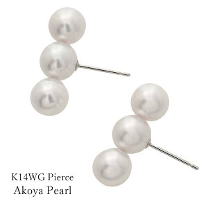 sAX p[ AR K14 zCgS[h 3 ^ 14 WG Vv AR fB[X Y LO Mtg