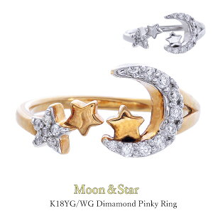 sL[O K18 K18WG  @_Ch 0.11Jbg fB[X NX}Xv[g