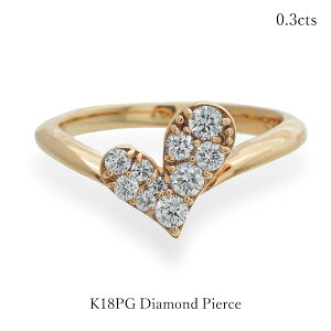 n[g O K18 sNS[h _Ch 0.3Jbg K18PG fB[X w 18 v[g