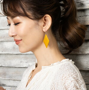 NR_C sAX CO v {v Ђ` S[h Vo[ ANZT[ NR h  IV 傫 Ԃ  fB[X l p[eB[  GKg S[W