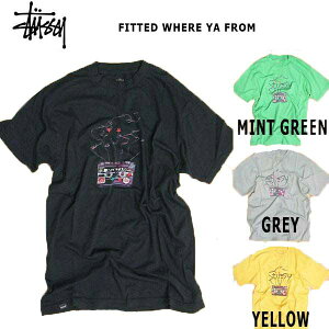 STUSSY Fitted Mixtape T