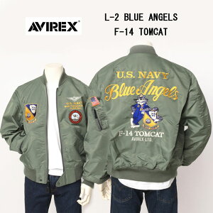 AVIREX �A�r���b�N�X 4152003 L-2 BLUE ANGLES �u���[�G���W�F�� F-14 �~���^���[ �C�R �O���t�B�b�N���[�N 440)���C���� 401)�Z�[�W