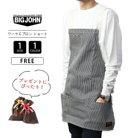 BIG JOHN ビッグジョン エプロンデニム おしゃれ 保育士 キッチン カフェ店員 ガーデニング DIY 料理 介護士 ソムリエ 飲食店 家庭菜園 農業 メンズ レディース 男女兼用 ユニセックス デニム生地 プレゼント VGL002K-1