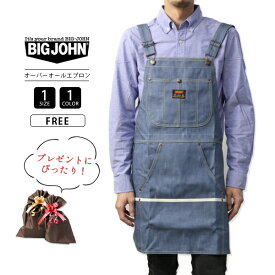 BIG JOHN ビッグジョン エプロンデニム おしゃれ 保育士 キッチン カフェ店員 ガーデニング DIY 料理 介護士 ソムリエ 飲食店 家庭菜園 農業 メンズ レディース 男女兼用 ユニセックス デニム生地 プレゼント VGL003K-5