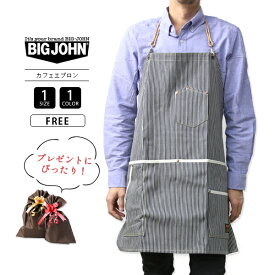 BIG JOHN ビッグジョン エプロンデニム おしゃれ 保育士 キッチン カフェ店員 ガーデニング DIY 料理 介護士 ソムリエ 飲食店 家庭菜園 農業 メンズ レディース 男女兼用 ユニセックス デニム生地 プレゼント VGL005K-1