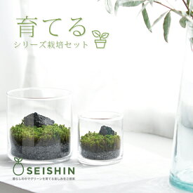 楽天市場 栽培キット かわいいの通販