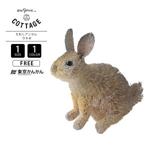 񂩂 TOKYO KANKAN G 킵Aj} CeA  u AWA H|i v`v ETM M81-1861 0127