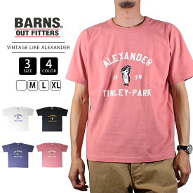 【送料無料】BARNS OUTFITTER バーンズアウトフィッターズ Tシャツ 半袖 VINTAGE LIKE S/S T SHIRT ALEXANDER BR-23303 0804