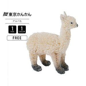 񂩂 TOKYO KANKAN 킵Aj} ApJ u IuWF G 킢  M81-1493 0419