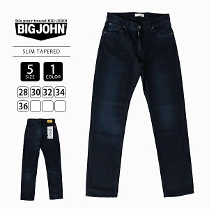 BIG JOHN rbOW W[Y pc fj Rv[gt[ u[ubN Xe[p[h Y W[p { Y i BJM105F-61S 1129