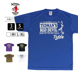TEDMAN テッドマン メンズ 半袖 TシャツシルキードライTシャツ 吸汗速乾 サラサラ ドライT プリントTシャツ 暑さ対策 薄手 TDRYT-2100