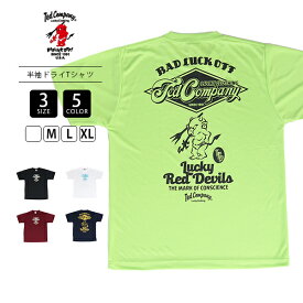 TEDMAN テッドマン メンズ 半袖 TシャツシルキードライTシャツ 吸汗速乾 サラサラ ドライT プリントTシャツ 暑さ対策 薄手 TDRYT-2200