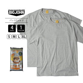 BIG JOHN ビッグジョン トップス 半袖 Tシャツ パックT シンプル 無地T 無地ティー グレー 2枚セット 和歌山産コットン デニムコーデ きれいめ レイヤード インナーにも M2PCT-61