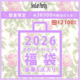 【予約商品】スカラー パリティ ScoLar Parity 福袋 2026 服 ブルゾン ニット カットソー ボトムス バッグ 計5点入り ※数量限定