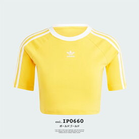 【 adidas Originals アディダス オリジナルス 】 スリーストライプス 半袖 ベビー Tシャツ KNZ20 / IP0660 / IP0661 / IP0662 / IP0664 / IP0665 / IP0666 / IU2532 / アディダス オリジナルス 半袖 Tシャツ ベビーTシャツ トップス 3ストライプ タイトフィット 2024SUMMER