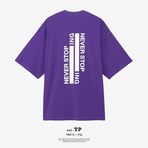 �y THE NORTH FACE �U�E�m�[�X�E�t�F�C�X �z S/S NEVER STOP ING Tee �V���[�g�X���[�u �l�o�[�X�g�b�v �A�C�G�k�W�[ �e�B�[ NT32401 / T�V���c ���� �ێ� �N���[�l�b�N �����b�N�X�V���G�b�g �o�b�N�v����