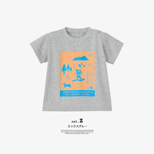 y THE NORTH FACE UEm[XEtFCX z B S/S Shiretoko Toko Tee xr[ V[gX[u VgR gR eB[ NTB32534ST / TVc  ێ N[lbN mgR UVPA OJbg q  