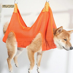 ybgpnbN g~O L e XS~L ybge n[lX \h~ ܐ؂ Vv[ |  SobO  ʋC StbNt  ybgT O[~O l