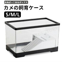 楽天市場】飼育ケース 60の通販