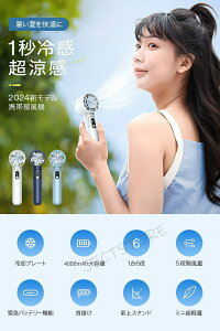 nfBt@ gѐ@ ^@ pv[g 20uԗpv 4000mAh gѐ@ pv[gt nfBN[[ Max14ԘA gуobe[ 5i 10[h nfB@莝