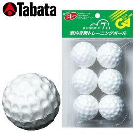 【ゴルフ】【トレーニング】タバタ アイアン上達 フォームアップボール GV-0306 【練習ボール】