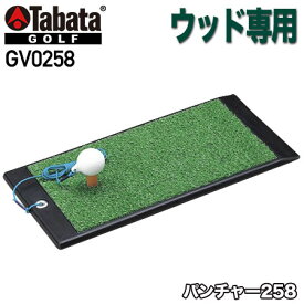 【スイング練習】Tabata GOLF タバタ GV0258 パンチャー258 ショット練習器具