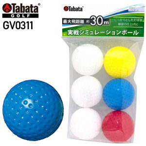 【ゴルフ】【トレーニング】タバタゴルフ Tabata GOLF ソフトボール GV0311【練習ボール】
