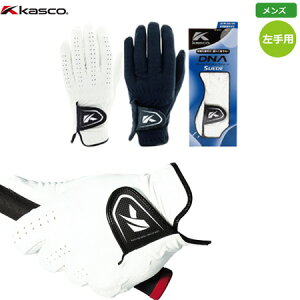 LXR KASCO DNA SUEDE Y p XG[hv 2021Nf GF-2010 {Ki {f St StO[u  p