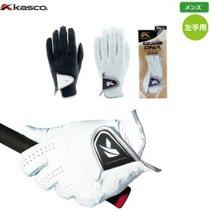 LXR KASCO DNA SHEEP Y p VRv 2021Nf GF-2012 {Ki {f St StO[u  p