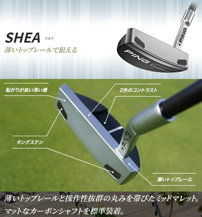楽天市場】ピン PING 2023 SHEA シェイ パター メンズ メーカー保証 