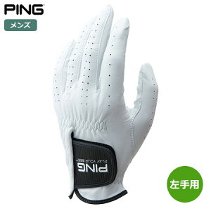 s PING GL-P2301 rvO[u p Y StO[u 2023tăf {Ki {f St StO[u  p