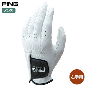 s PING GL-P2301 rvO[u Ep Y StO[u 2023tăf {Ki {f St StO[u  Ep