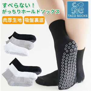 OOWLS \bNX C TACO SOCKS JYP24ZU Y fB[X StEFA X|[c\bNX 2024Nf W[p[YIWii