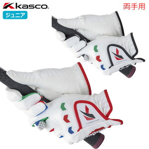 LXR SF-22135JW O[u LXRWjA WjA p  St KASCO 2025Nf {Ki