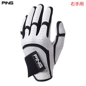PING �s�� GL-U2602 �G�j�[�t�B�b�g�O���[�u �����Y �E��p �S���t 2026�N���f�� ���{���K�i