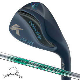 キャスコ DOLPHIN WEDGE DW-125G Midnight Blue ウェッジ セミグースネック メンズ 右用 スチールシャフト KASCO ゴルフクラブ 2026年モデル 日本正規品