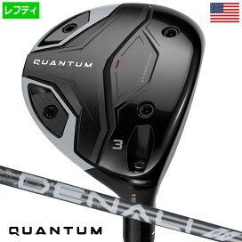 楽天市場】【アイアン】ナイキゴルフ VAPOR FLY PRO ヴェイパーフライ 