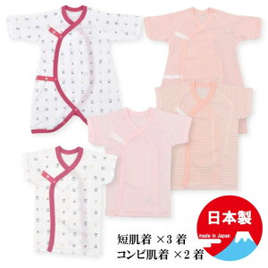 Vp ܃nEX 5_ZbgsNnEZ3ERr2E{iV Zbg ̎q { 5_ xr[ Zbg Ԃ  xr[ ̎q Z Rr