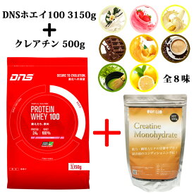楽天市場 Dns プロテイン ダイエットの通販
