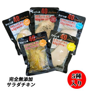 Y T_`L Y{   5Zbg 40chicken (e5×10Zbg) tH[eB[`L ؃g  g[jO ؓ  퉷ۑ _CGbg