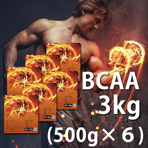 ������ BCAA 3kg�i500g×6�j ���Y ���Y�� �����H 500g×6�@�؃g�� �g���[�j���O �{�f�B���C�N �_�C�G�b�g �o���N�A�b�v(FC10×6)